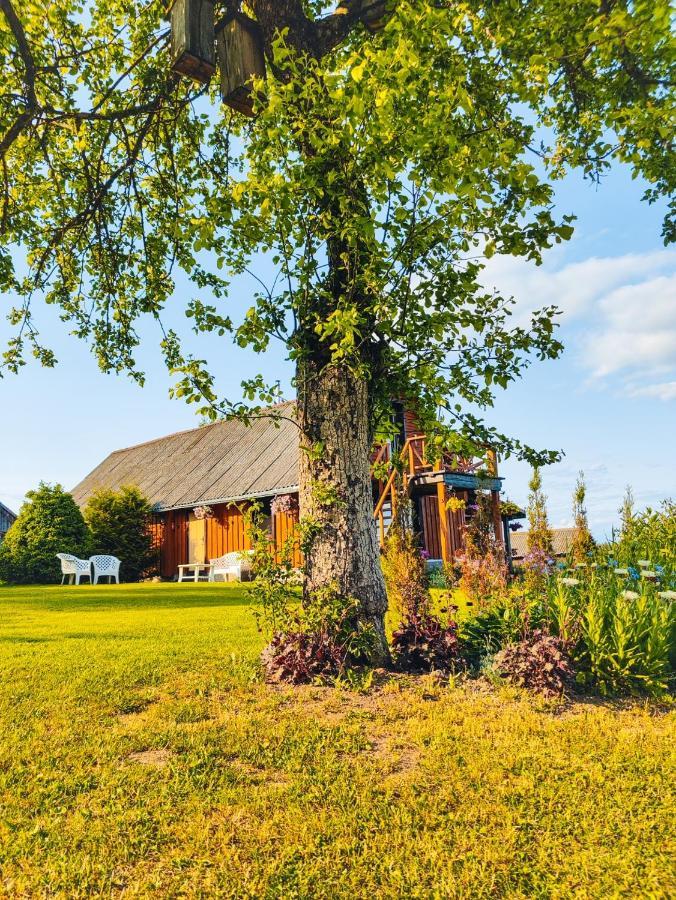 Zalioji Villa Padustis ภายนอก รูปภาพ