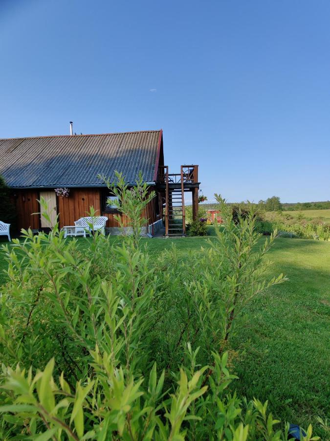 Zalioji Villa Padustis ภายนอก รูปภาพ