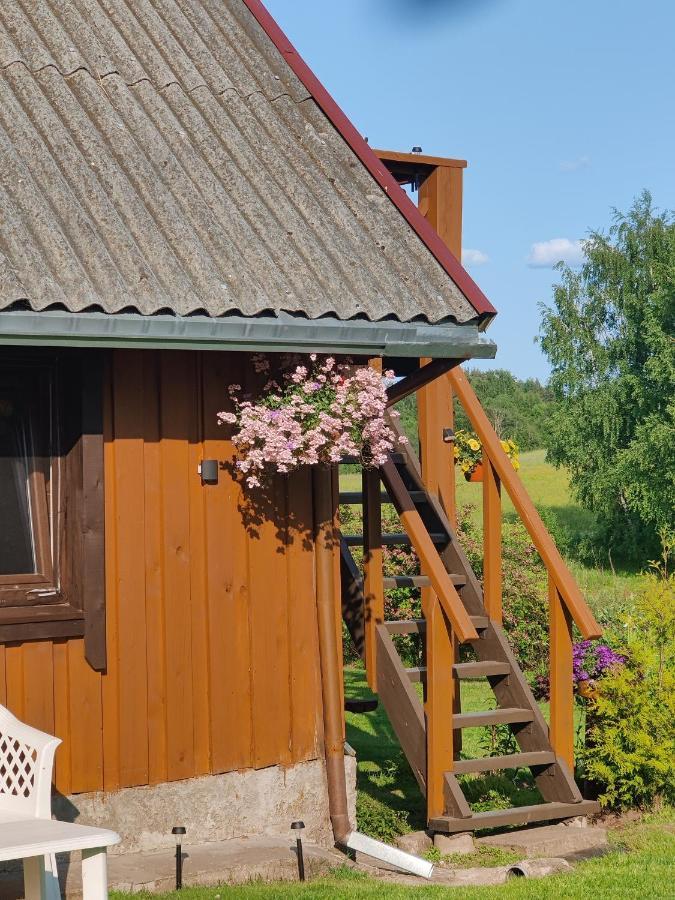 Zalioji Villa Padustis ภายนอก รูปภาพ
