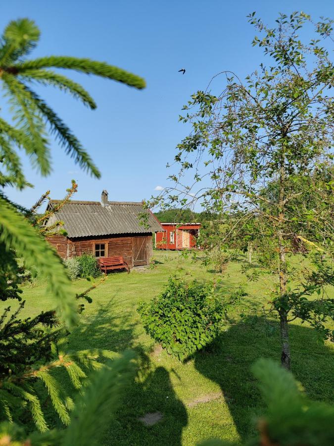 Zalioji Villa Padustis ภายนอก รูปภาพ